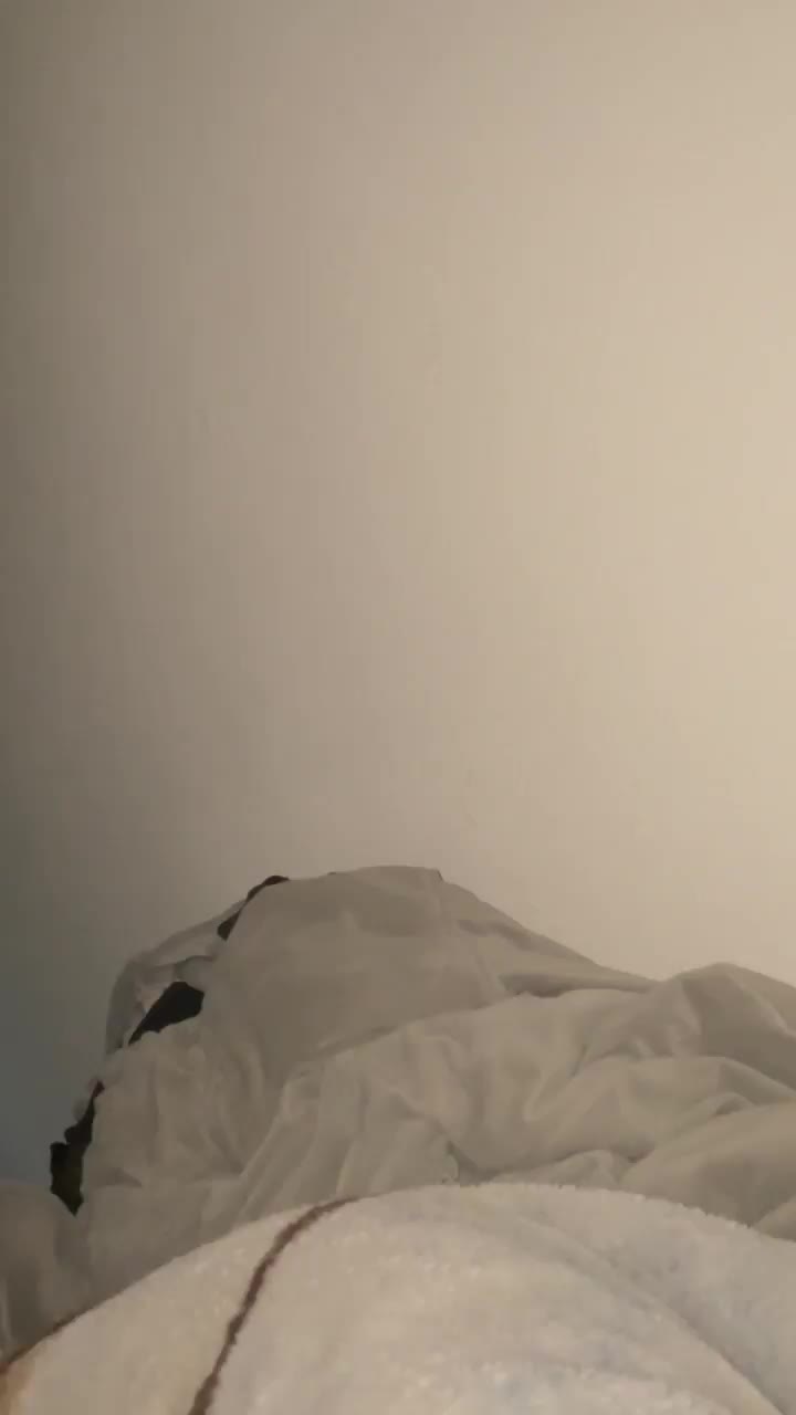 Daily wake up call - free porn video
