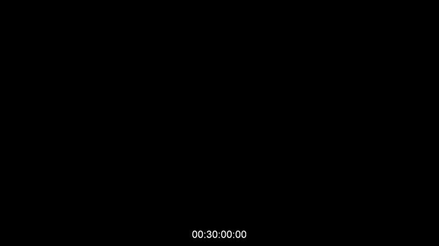 Ashley - "Last Images" (DESDRAW) [Resident Evil] - free porn video