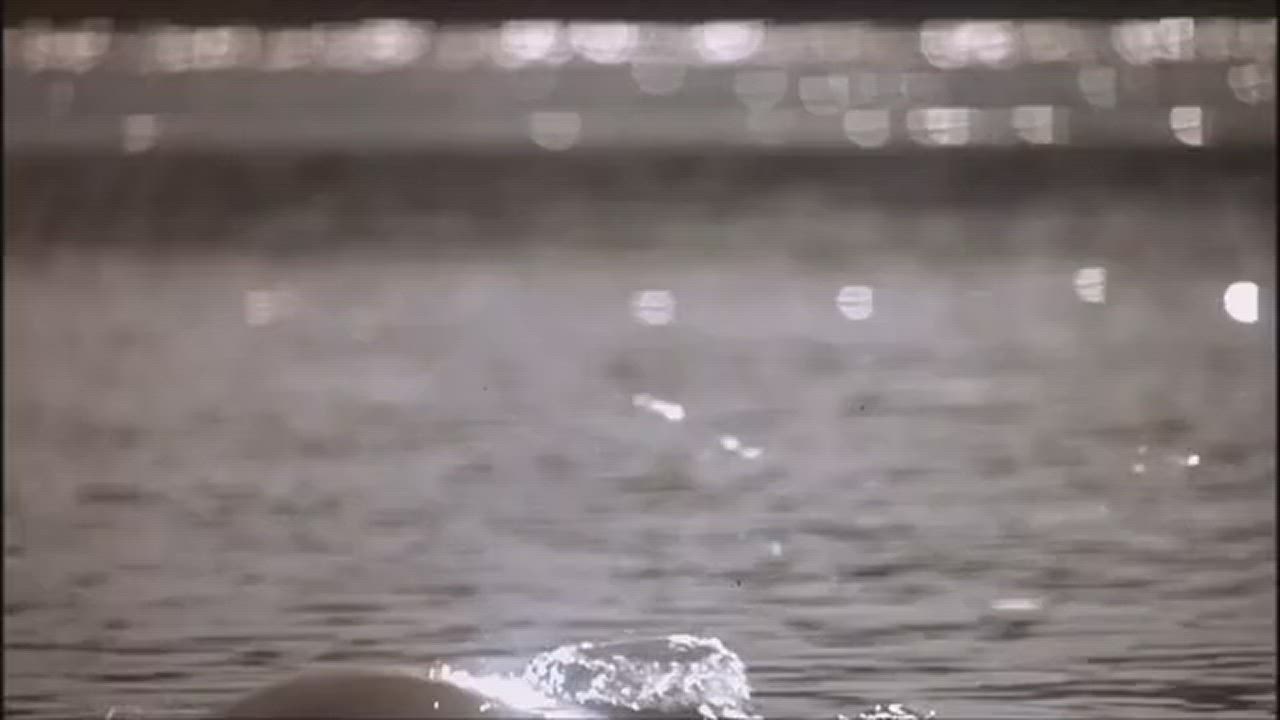 This scene of Julie Warner skinny dipping in Doc Hollywood was a highlight of my secret VHS spank bank (1991) - free porn video