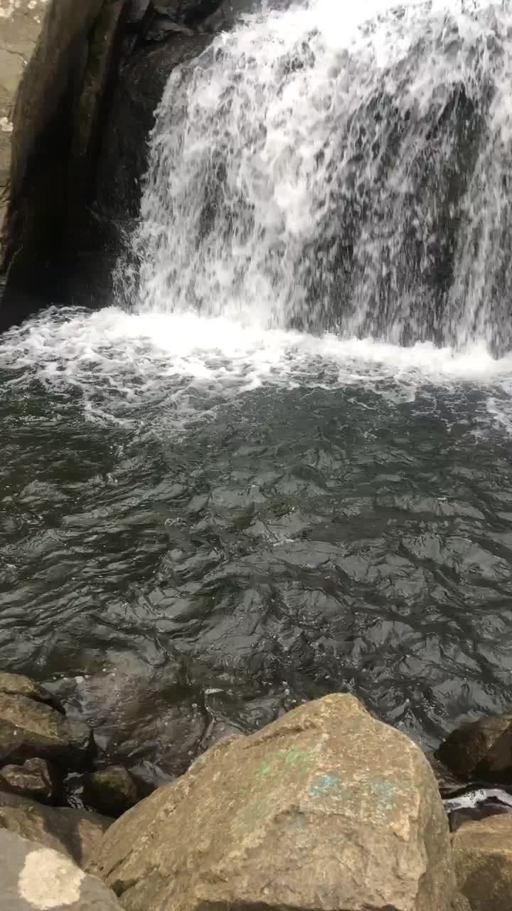 Waterfall blowjob - free porn video