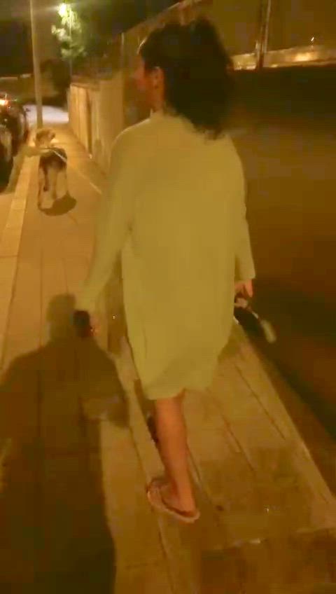 Just a regular night walk with my dogs - free porn video