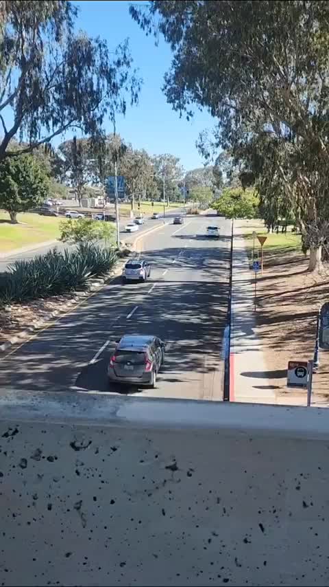 Flashing from on top of a bridge [gif] - free porn video