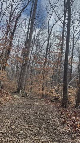 Pale girls running through the woods - free porn video