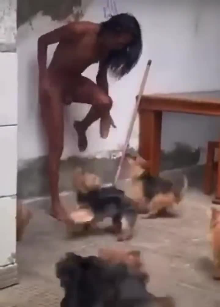 🐶 - free porn video