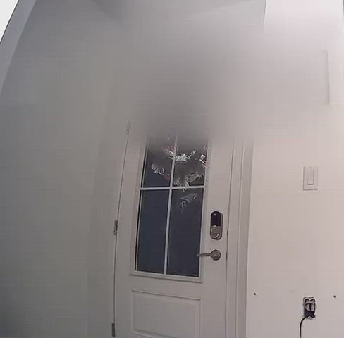 Wearing a see thru top for the delivery man, he couldn’t stop staring and even said thank you ☺️ [GIF] - free porn video