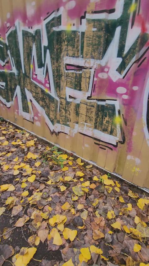 Always have fun when we go to the park - free porn video