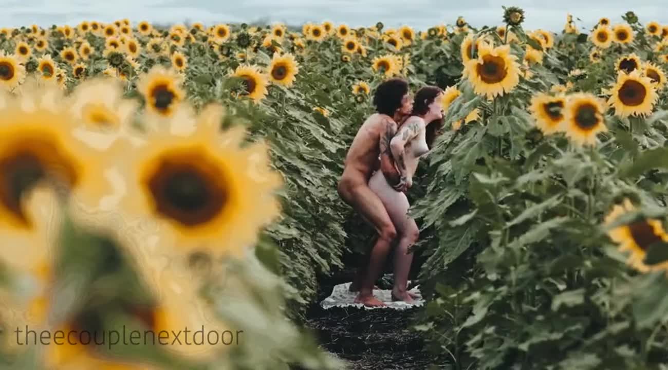 Getting fucked amongst the sunflowers🥵 - free porn video