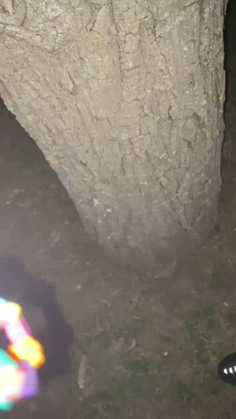 We on the side of the road with people driving past ( worth it ) - free porn video