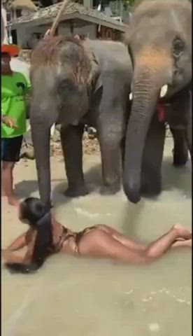 Photoshoot gets out of hand - free porn video