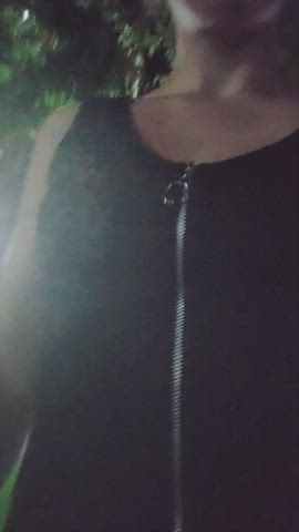 Just a Canadian girl on her late night walk [GIF] - free porn video