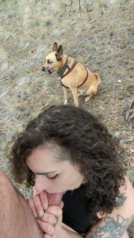 Just taking my dog for a walk... - free porn video