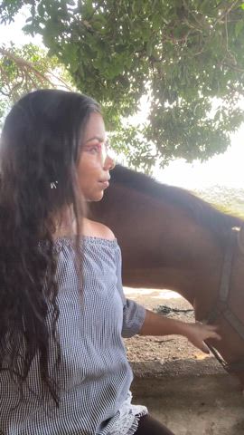 probably the horses also get a boner - free porn video
