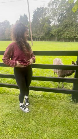 Flashing at the farm! - free porn video