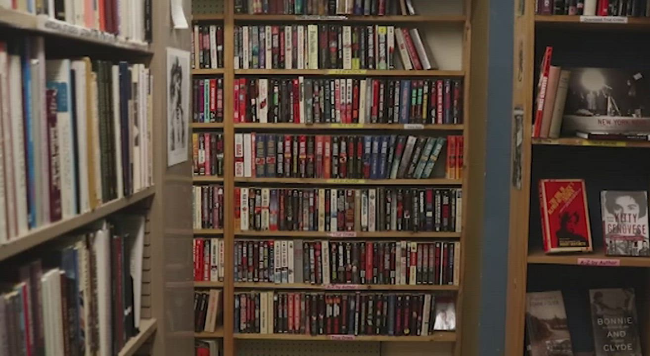 Mallory Christopher is a sexy librarian - free porn video