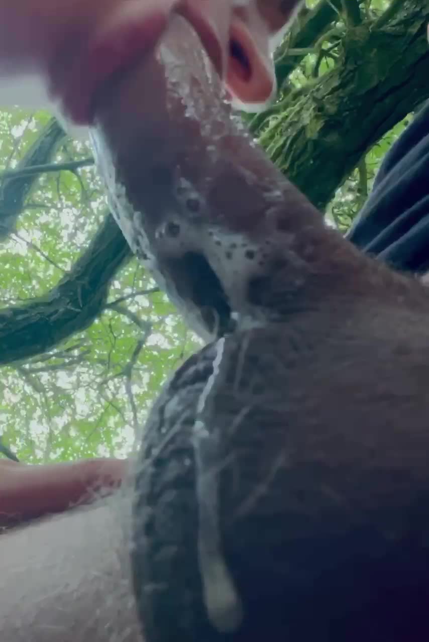 I found the way to a man’s heart - free porn video