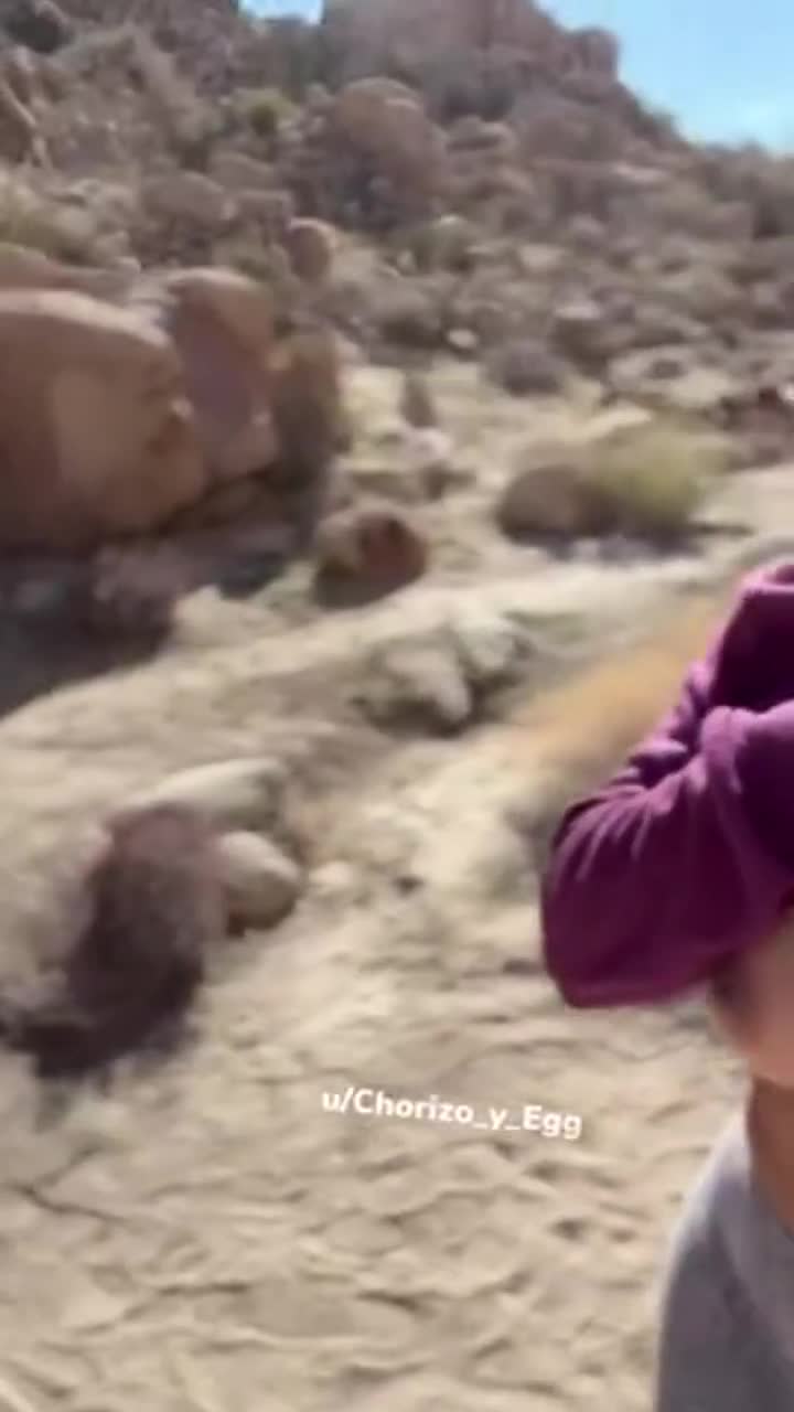 This hike was so much fun [gif] - free porn video