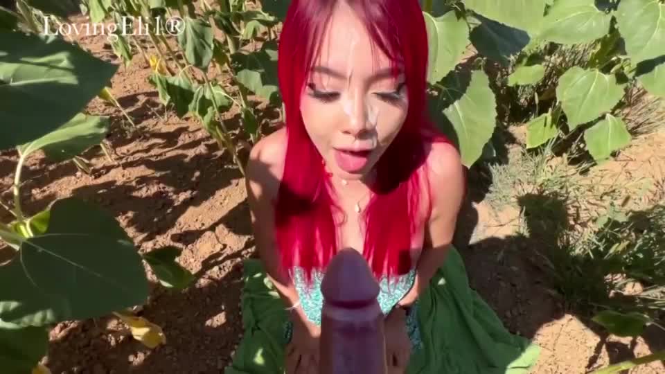 imagine finding this good girl in the field of sunflowers - free porn video