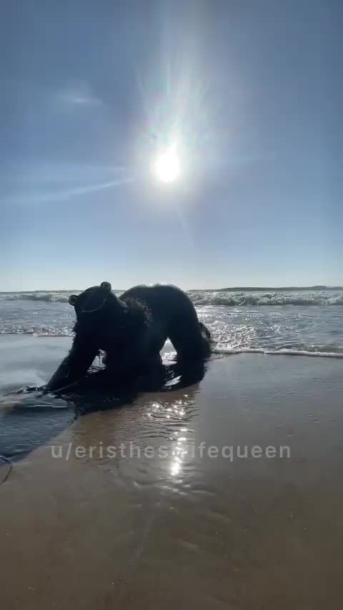 wanna make some waves? - free porn video