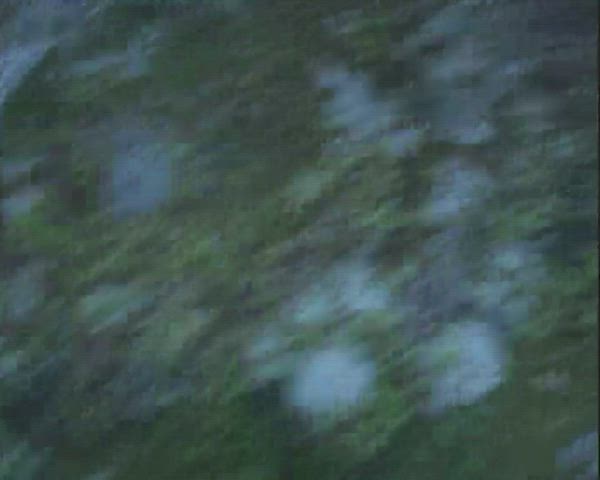 we went on a hike this weekend :) - free porn video
