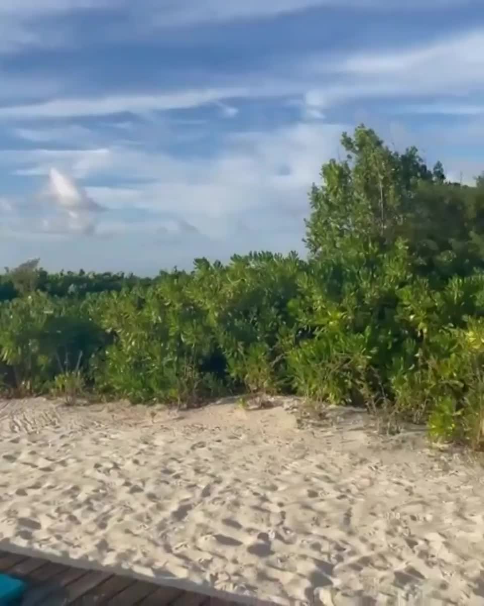 Camila Cabello - free porn video