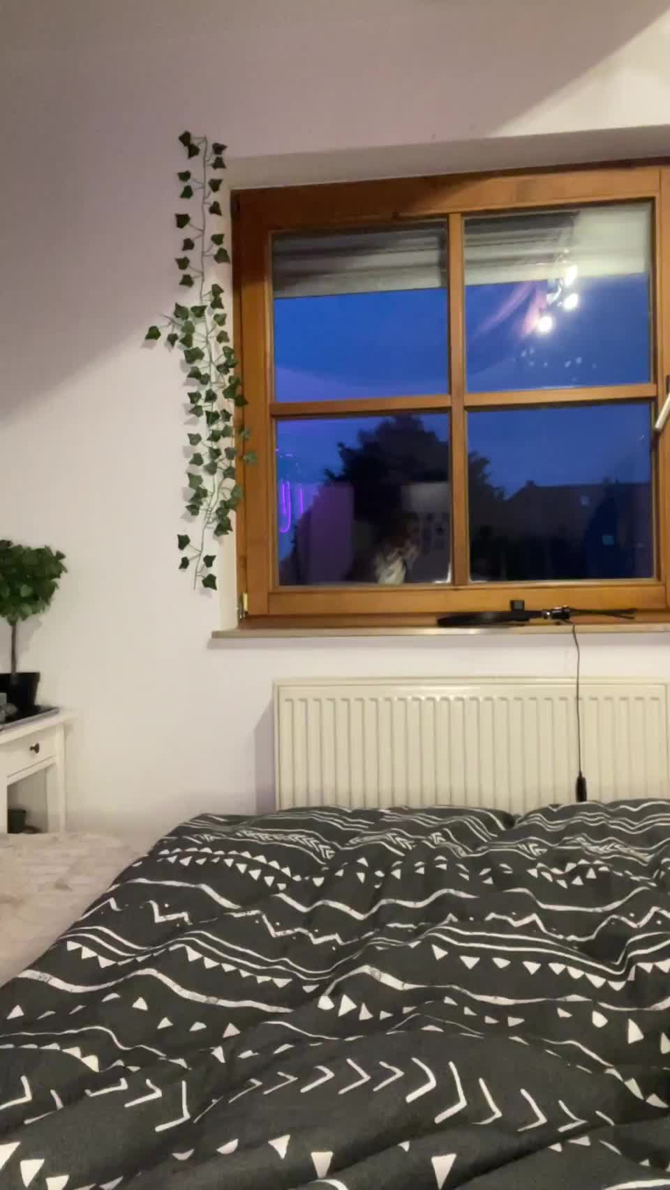 react if i can be your toy tonight - free porn video