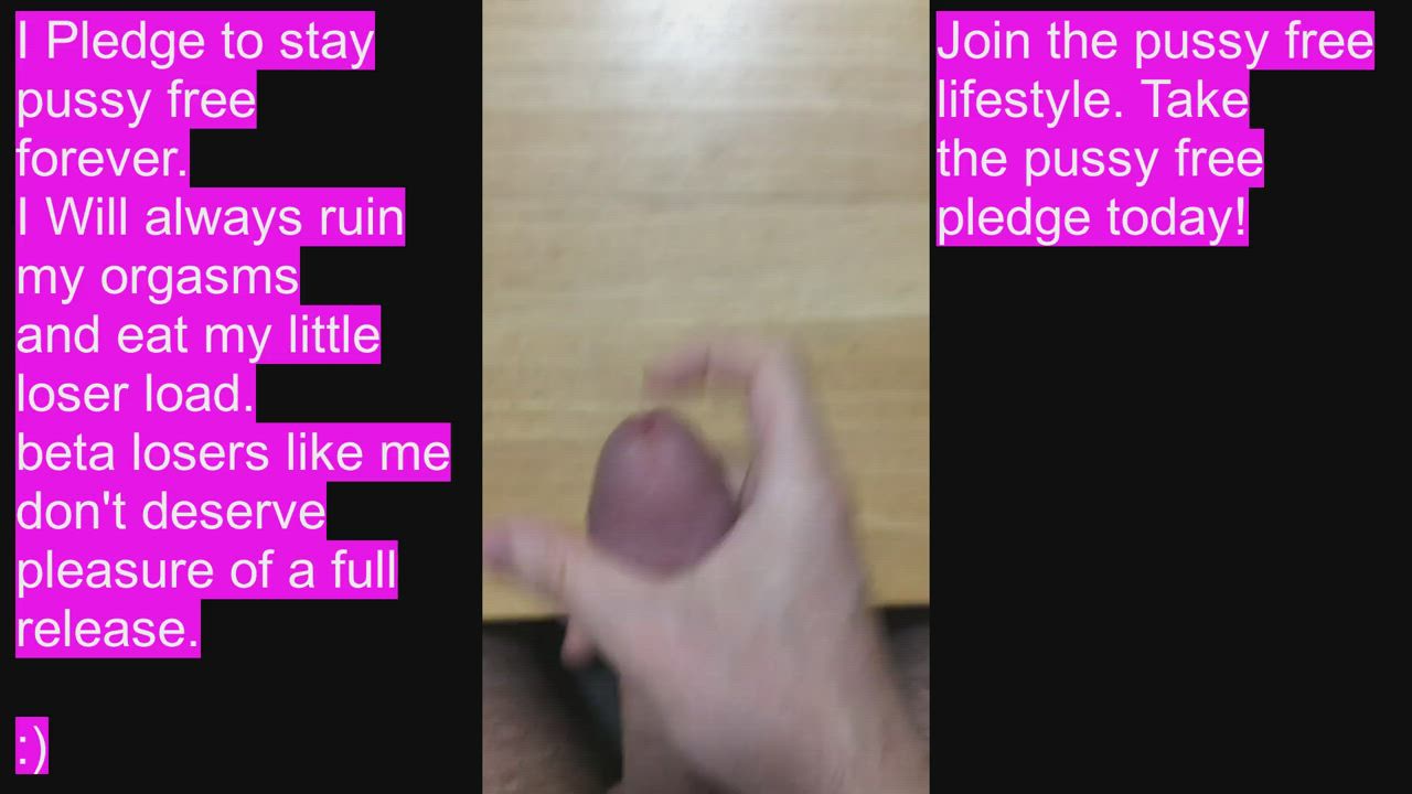 I Pledge to be pussy free. Ruined orgasms ONLY For this beta loser. - free porn video
