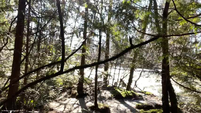Had to stop for a quick flash on my run 😉 - free porn video