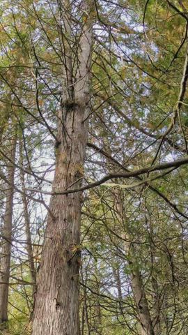 I love the great outdoors - free porn video