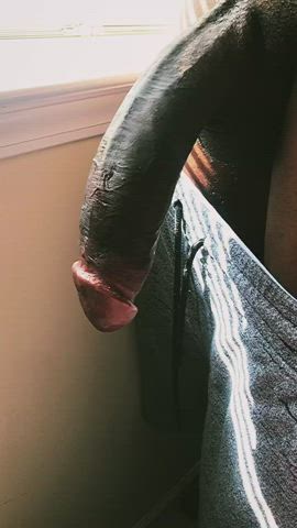 Get cucked - free porn video
