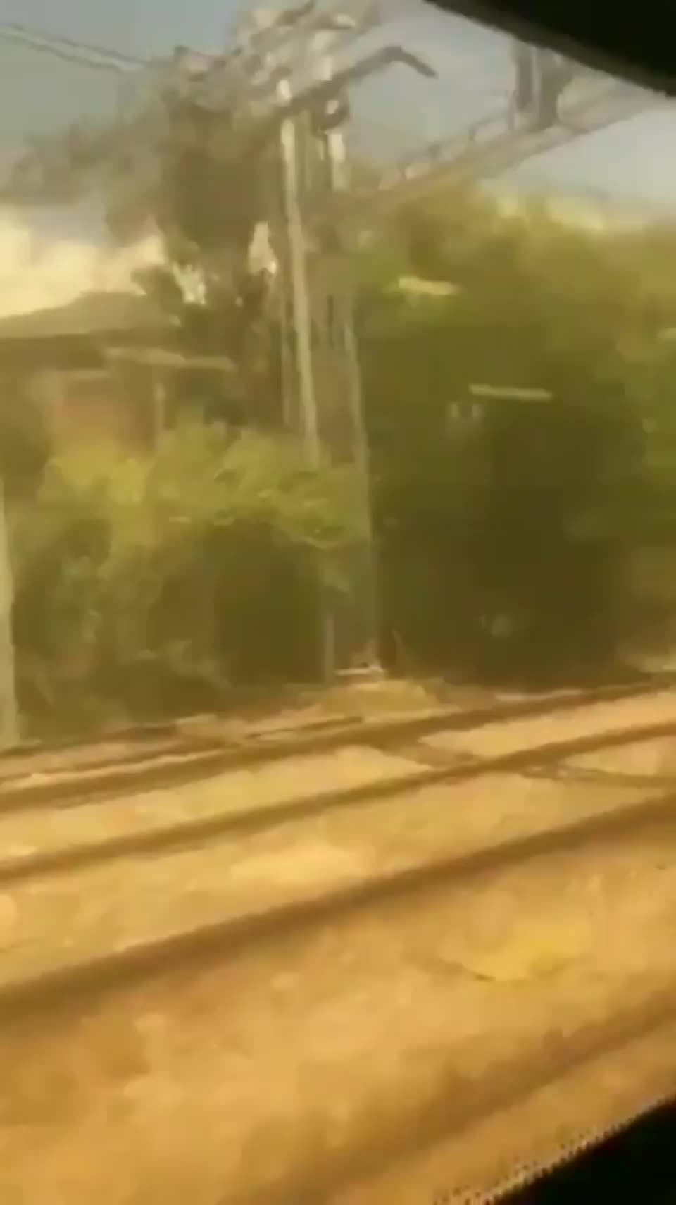 Train Blowjob - free porn video