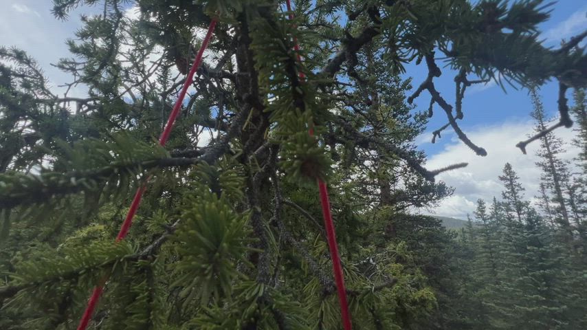 Having some fun on our hike. [gif] - free porn video
