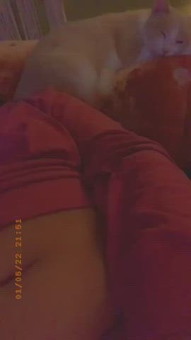 Cocks plz😫😫😫🤤 - free porn video