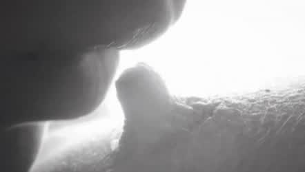 Alexis Crystal Amaris Bed Sex Blonde Close Up Erect Nipples Fingering Lesbian Lesbians Lick Licking Lingerie Natural Natural Tits Nipple Nipple Play PMV Pussy Pussy Eating Pussy Licking Porn GIF by uxizix - free porn video
