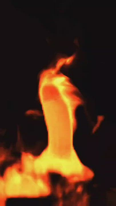 Cock GIF by loatid - free porn video