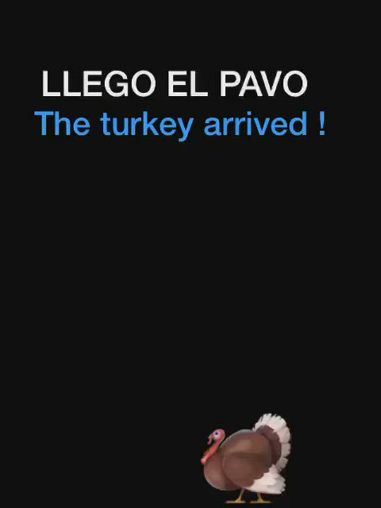 The Turkey Arrived - free porn video