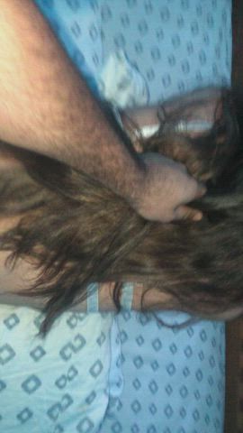 love it when he yanks my hair - free porn video
