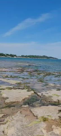 Relaxing day at the beach with his meat stick in my mouth - free porn video