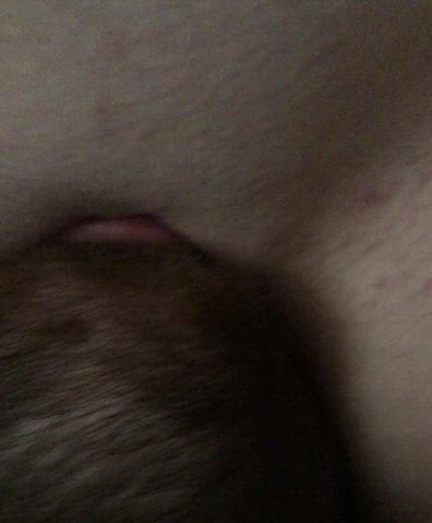 Licking her clean - free porn video