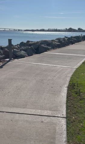 Boobs by the bridge [gif] - free porn video