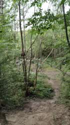 The woods are so calming and quiet....Just perfect for a nice face fucking session followed by a pretty load on my face 😈😏🤤 - free porn video