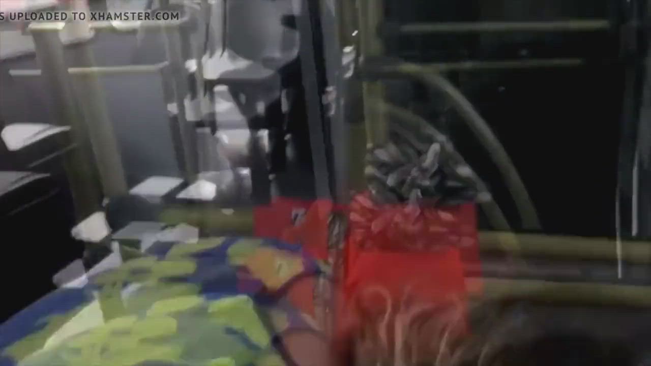 Finishing the job in the back of the bus - free porn video