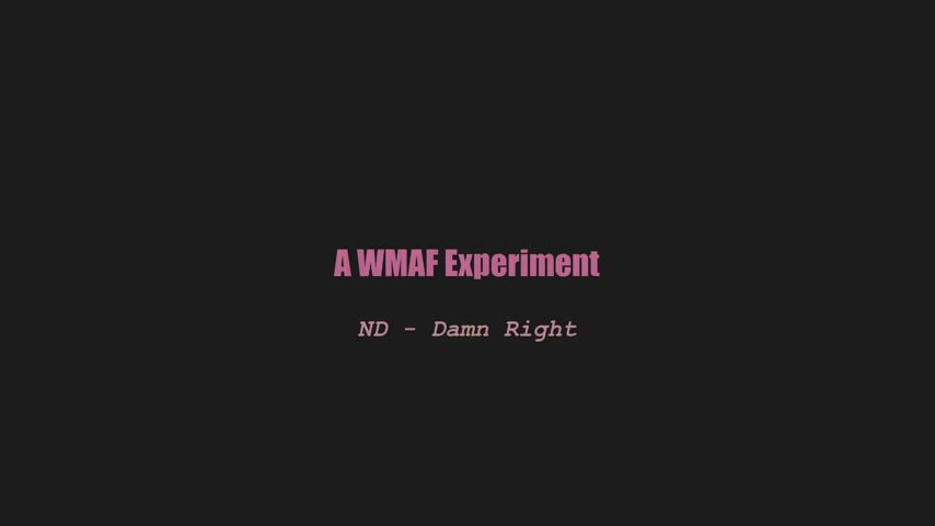 A wmaf experiment - ND - Damn Right (splitscreen PMV) - free porn video