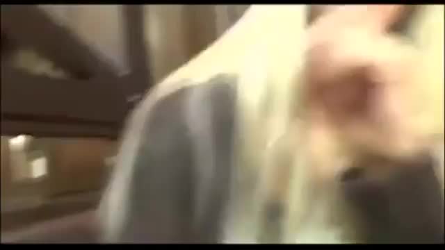 Restaurant fucking - free porn video