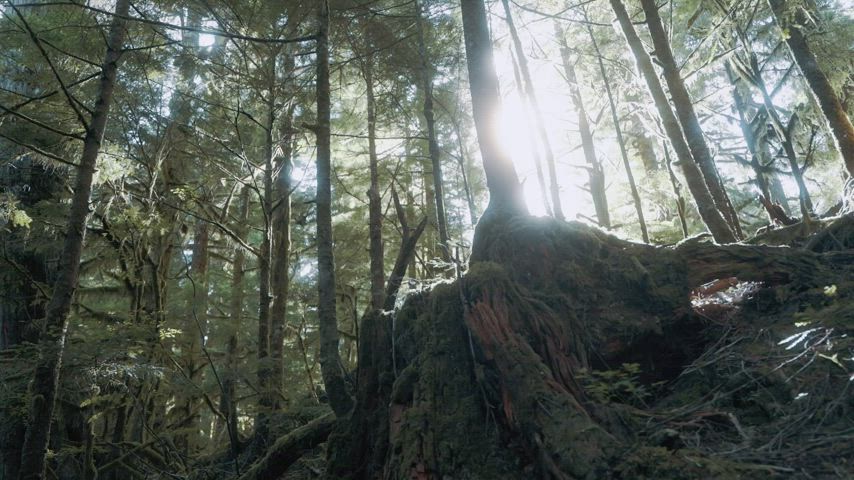 another beautiful hike with @kellenrhis - free porn video