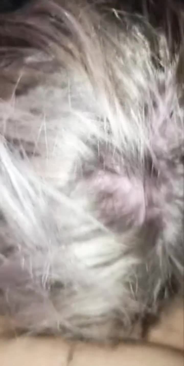just being daddy's good girl - free porn video
