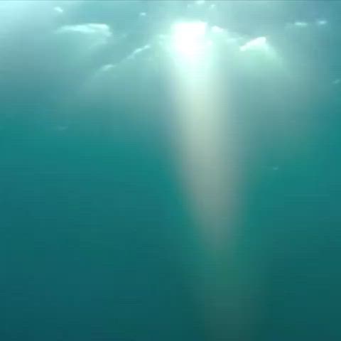 Kelly Brook in Piranha 3D$ - free porn video