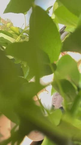 Nature - free porn video