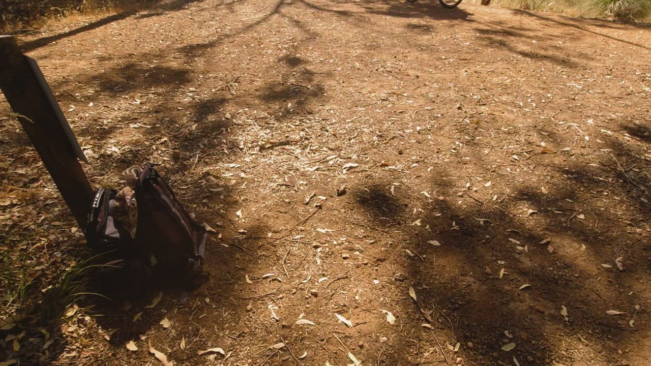 Most risky sex we ever had...getting a blowjob right by the path! - free porn video