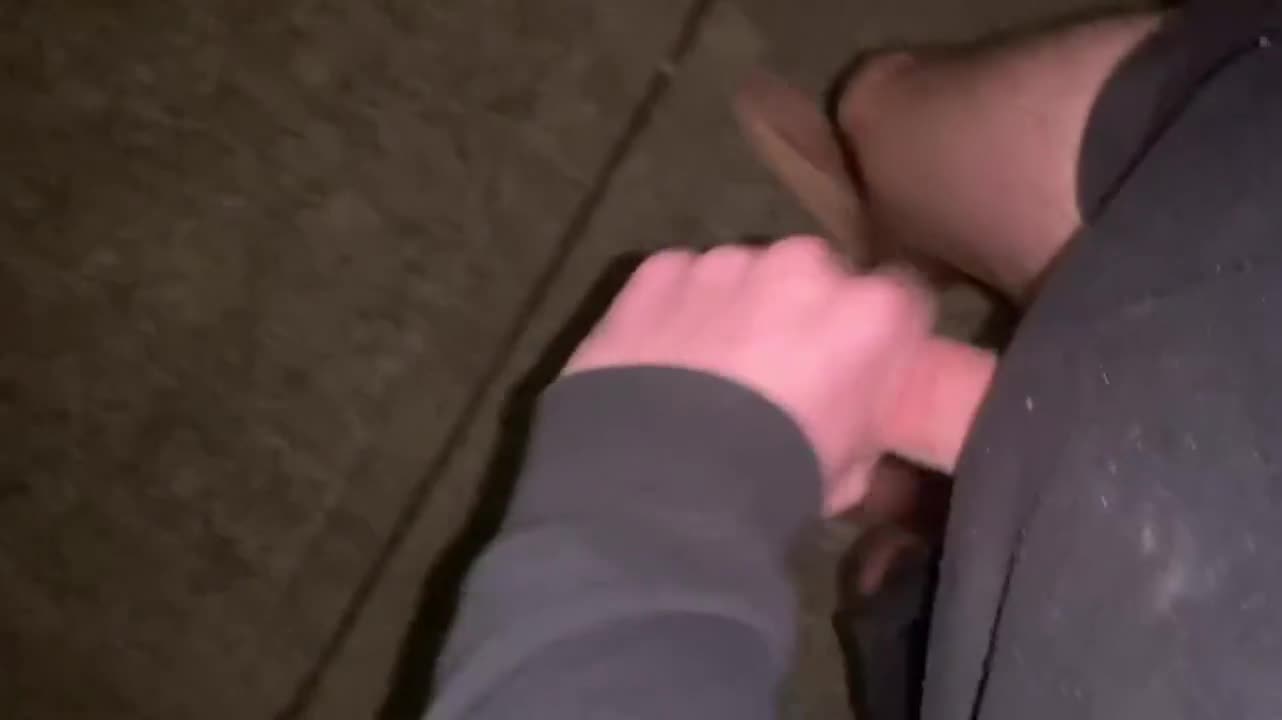Night walks - free porn video