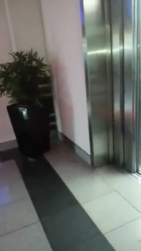 Having fun in the elevator - free porn video